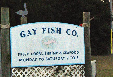 gay-fish.jpg