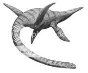 180px-Plesiosaurus2.jpg