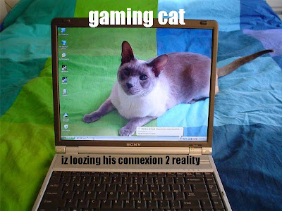 gamingcat.jpg