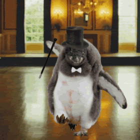 dapper_dancing_penguin.gif