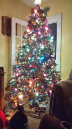 IMG_20241225_180941.jpg