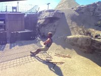 IMG_0671.jpeg