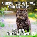 IMG_1103.jpeg