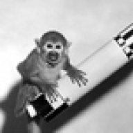 space_monkey
