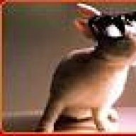 kewlrabbit