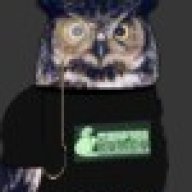 guardian_owl