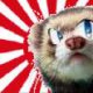 OtakuFerret
