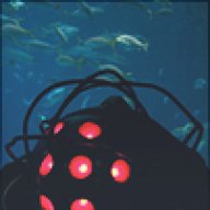 VetraX