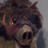 aardvarkgod