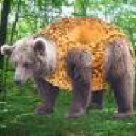Bagel Bear