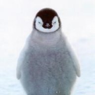 udolpho