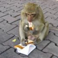 Sandwich4Monkey