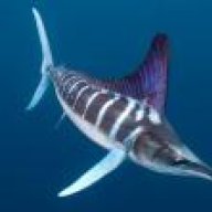 PerilousMarlin1