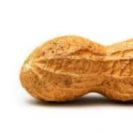 AssassinPeanut