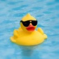coolduck