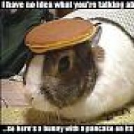 s00pNAZi
