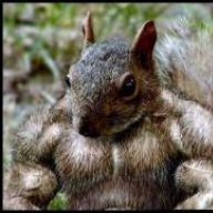 DeadlySquirrel83