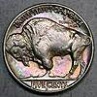 CoolBuffalo