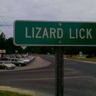 lizardlick