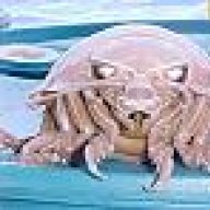 BizarreLlama