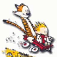 calvin449