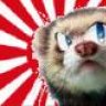 OtakuFerret