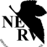 Nerv_001