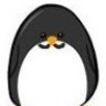 discopenguin816