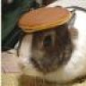 Pancake Rabbit