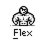 MisterFleX