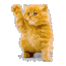 Quackzilla's Dead Kitten
