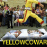 yellowcoward