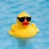 coolduck