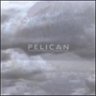 Pelican