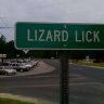 lizardlick