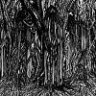 HellHammer666