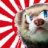 OtakuFerret