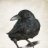 RavenSS7