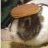 Pancake Rabbit