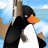 solid penguin