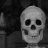 thelostskeleton
