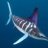 PerilousMarlin1