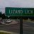 lizardlick