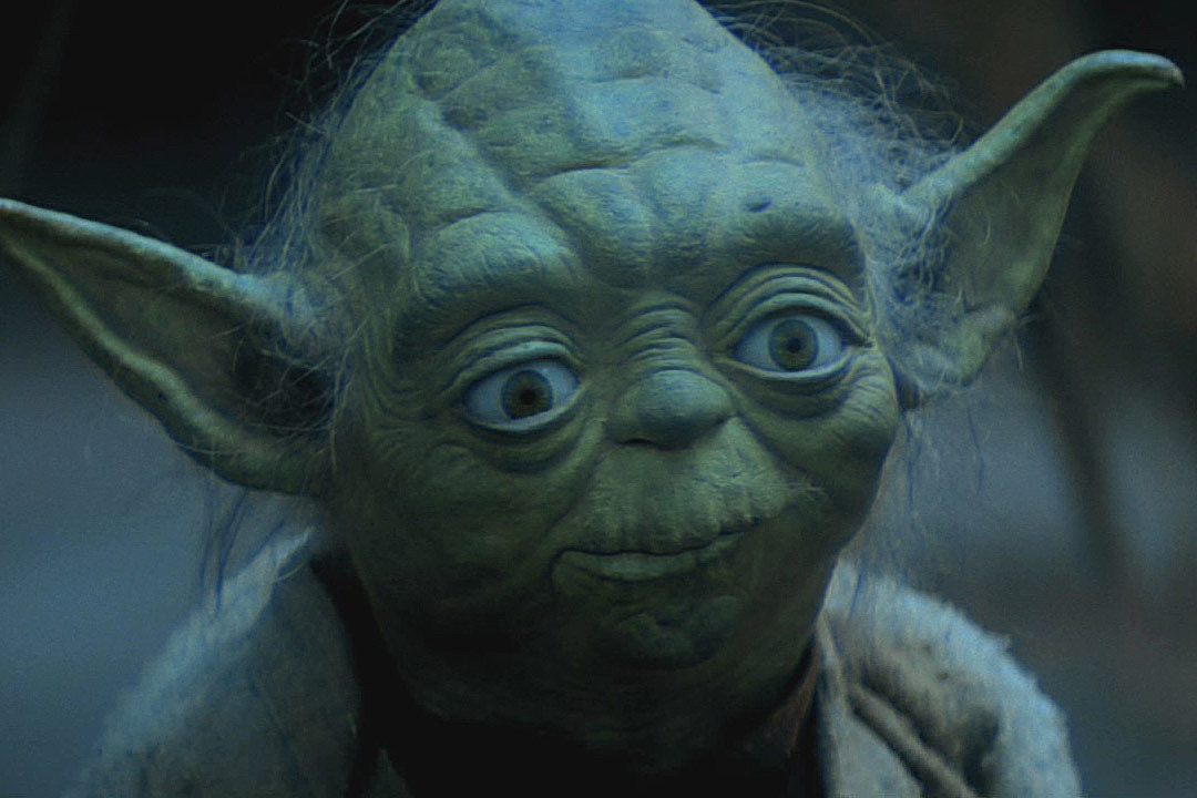 yoda-back.jpg