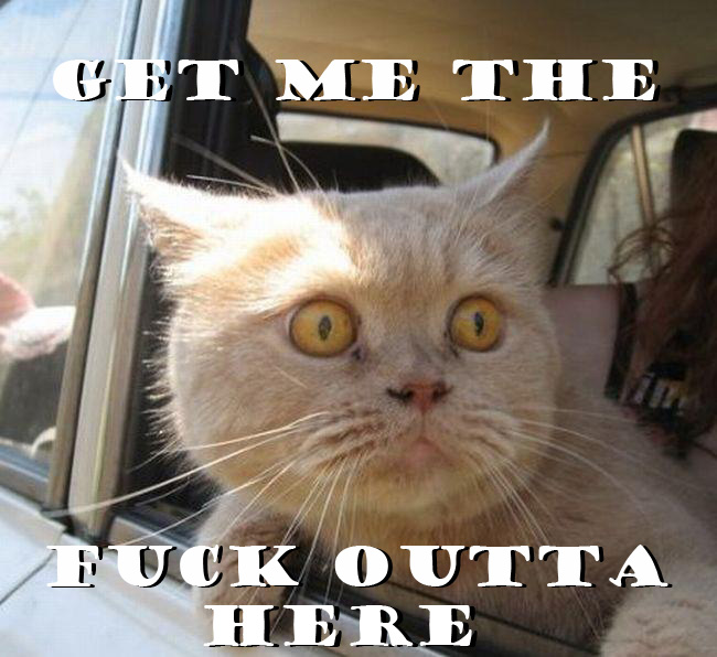 mAoOq.jpg