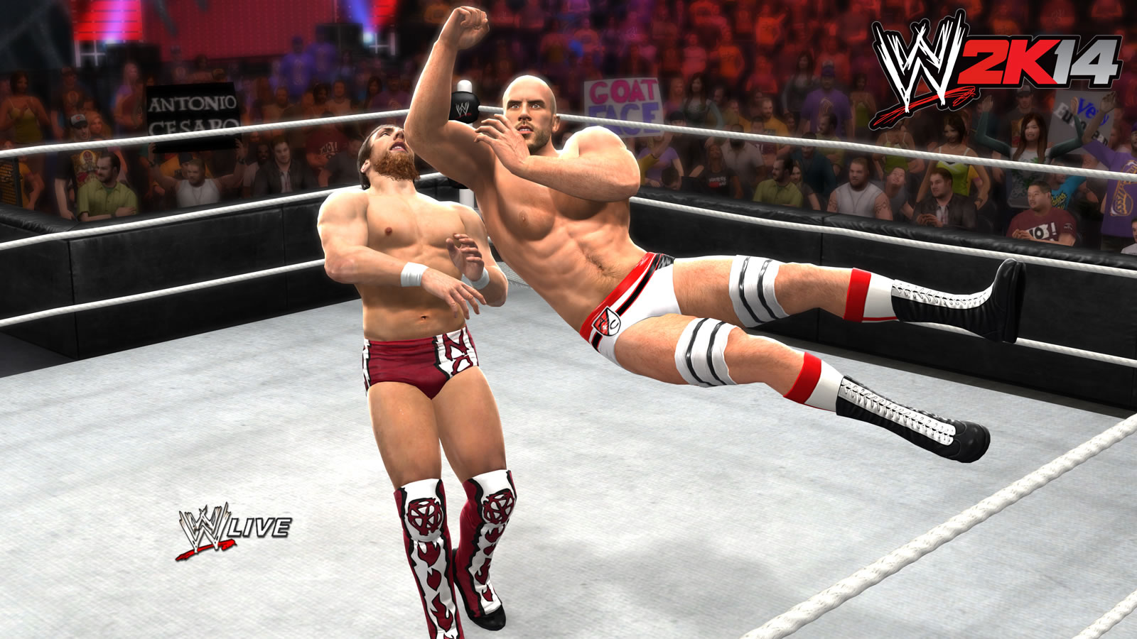 Antonio_Cesaro_2a_082113_081510101.jpg