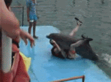 dolphin-humping.gif