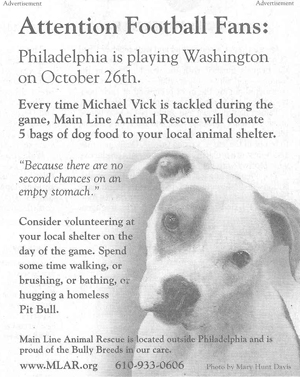 rescue_ad_300.jpg