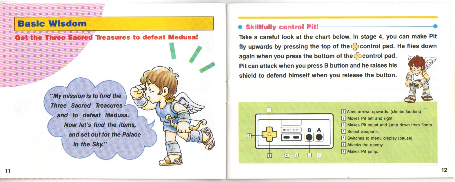 manual-pgs11-12.jpg