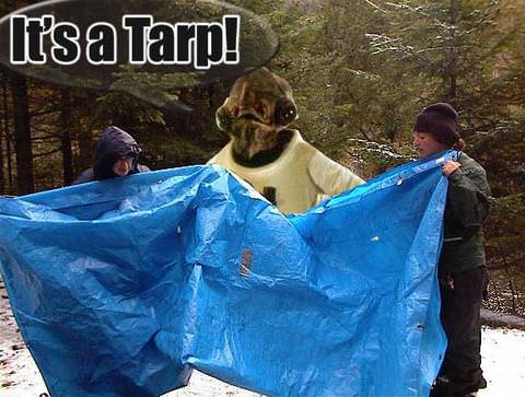 TARP_ackbar.jpg